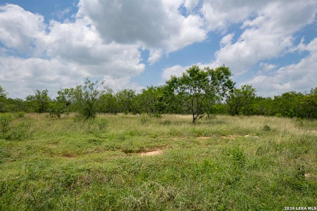 1393 Fox Trotter Road Seguin, TX 78155 - Photo 8 of 46