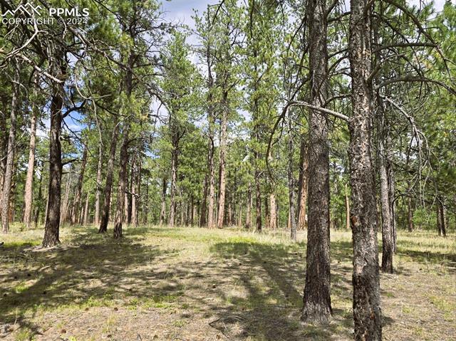 0 Meridian Road Colorado Springs, CO 80908 - Photo 20 of 21
