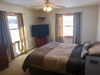 10622 West Irish Line Road Brimley, MI 49715 - Photo 32 of 65 Gallery Image 32