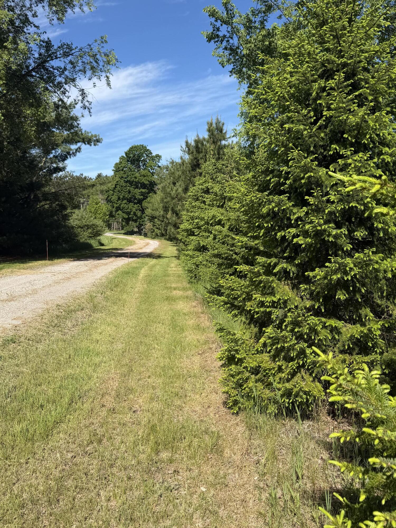 1595 South Poor Farm Road Mikado, MI 48745 - Photo 10 of 78 1595 long drive view