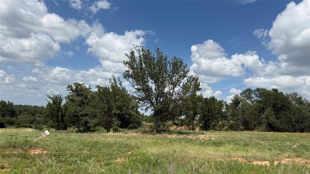 1173 Gonzollas Road Springtown, TX 76082 - Photo 2 of 4 Expansive land parcel featuring natural ground cover, mature trees, and an open sky