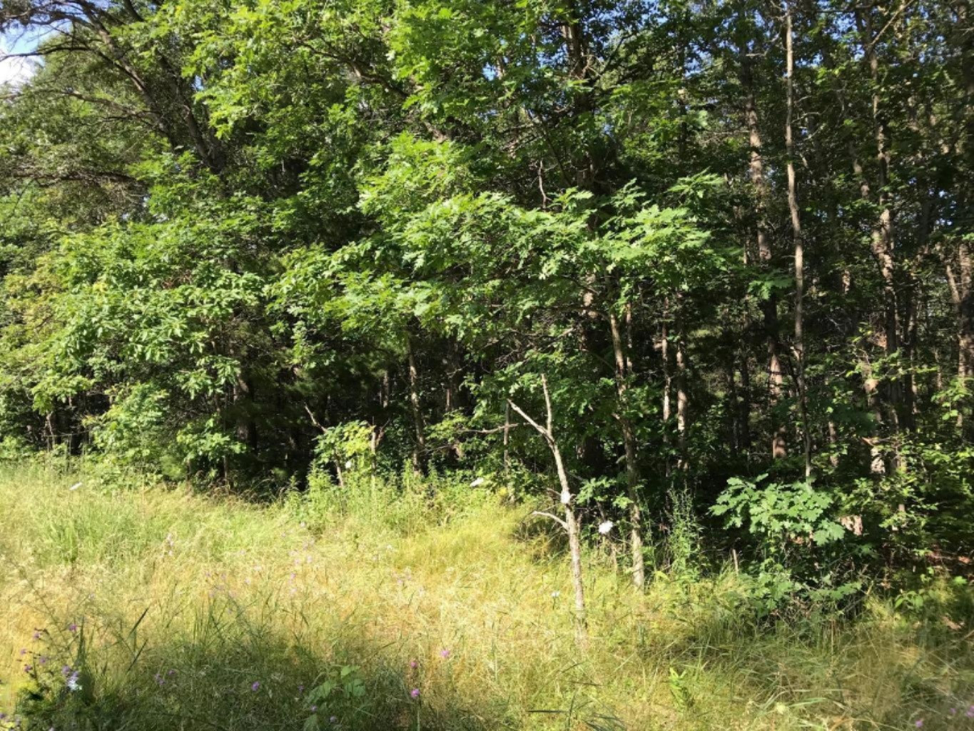 2900 East Riley-Thompson Road Twin Lake, MI 49457 - Photo 1 of 1 Front