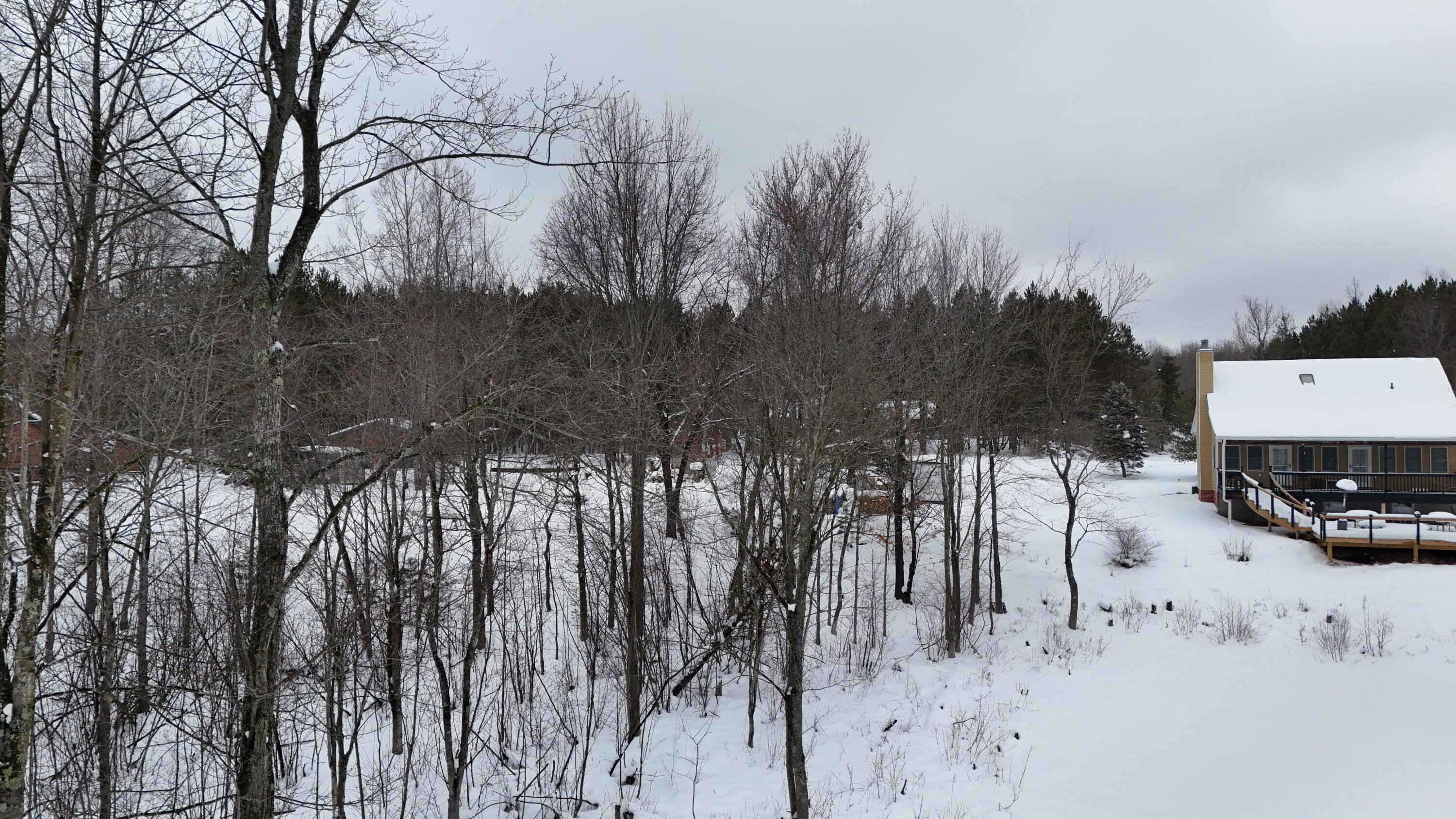 6 North Ervin Road Free Soil, MI 49411 - Photo 16 of 19 Beautiful lot on Sauble River