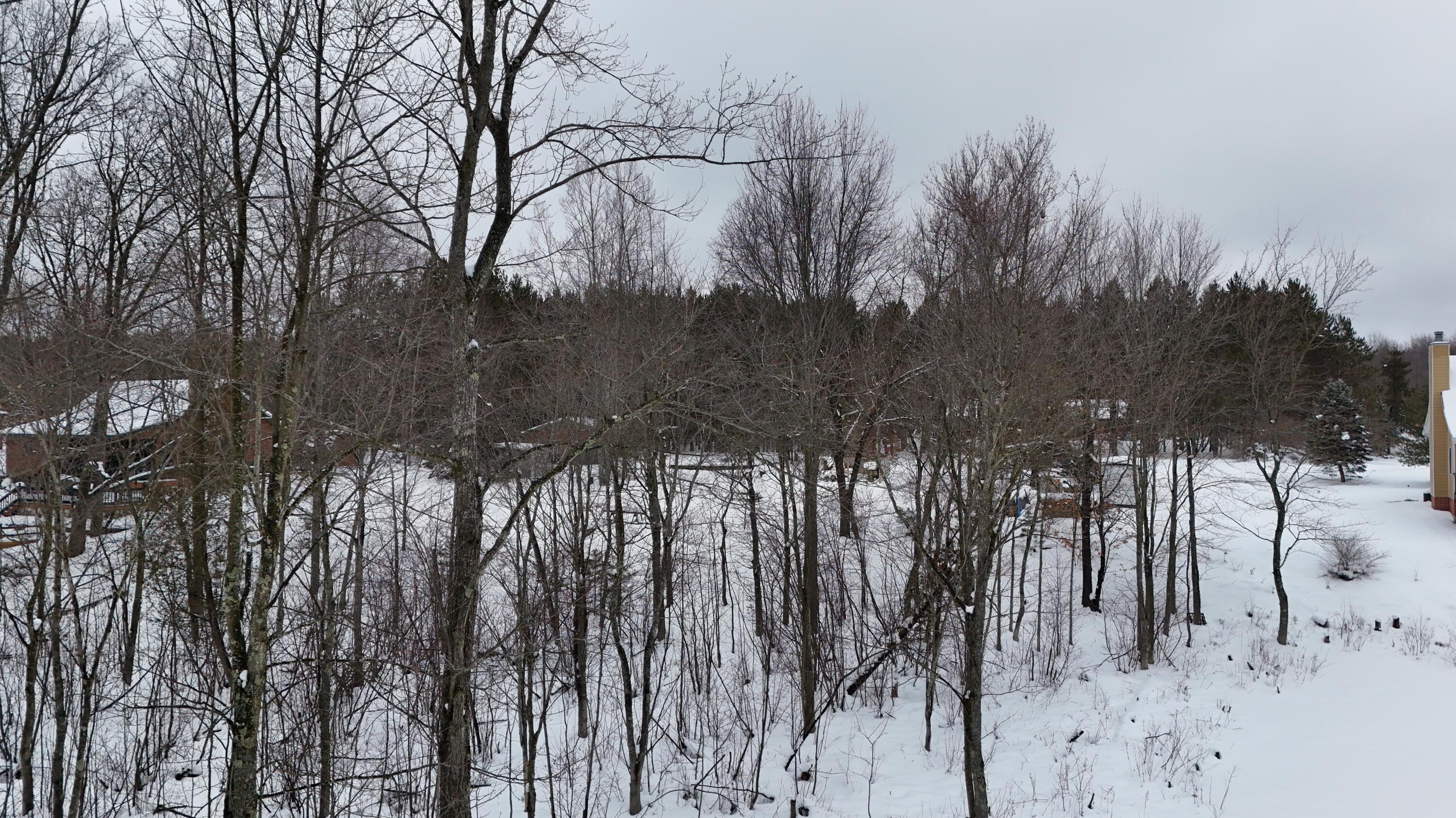 6 North Ervin Road Free Soil, MI 49411 - Photo 17 of 19 Beautiful lot on Sauble River