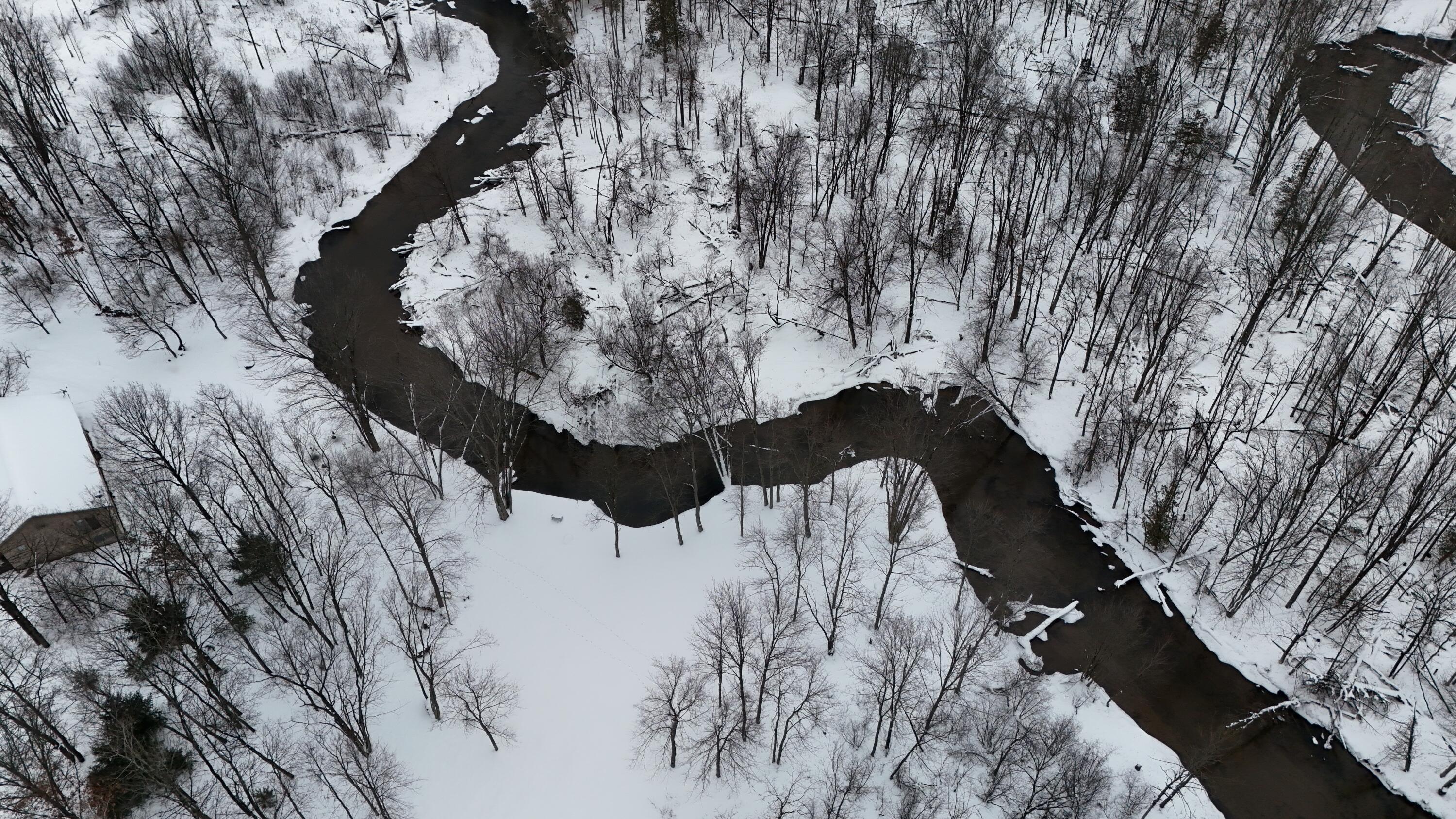 6 North Ervin Road Free Soil, MI 49411 - Photo 5 of 19 Sauble River
