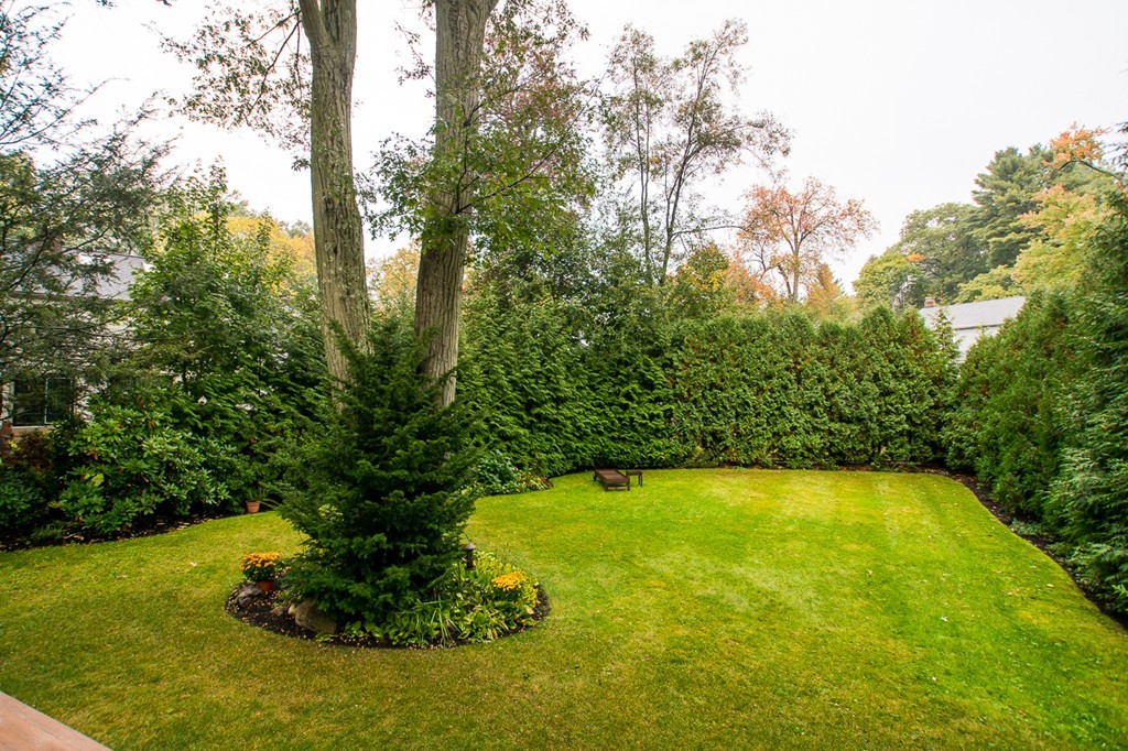 564 Quinobequin Road Newton, MA 02468 - Photo 27 of 30