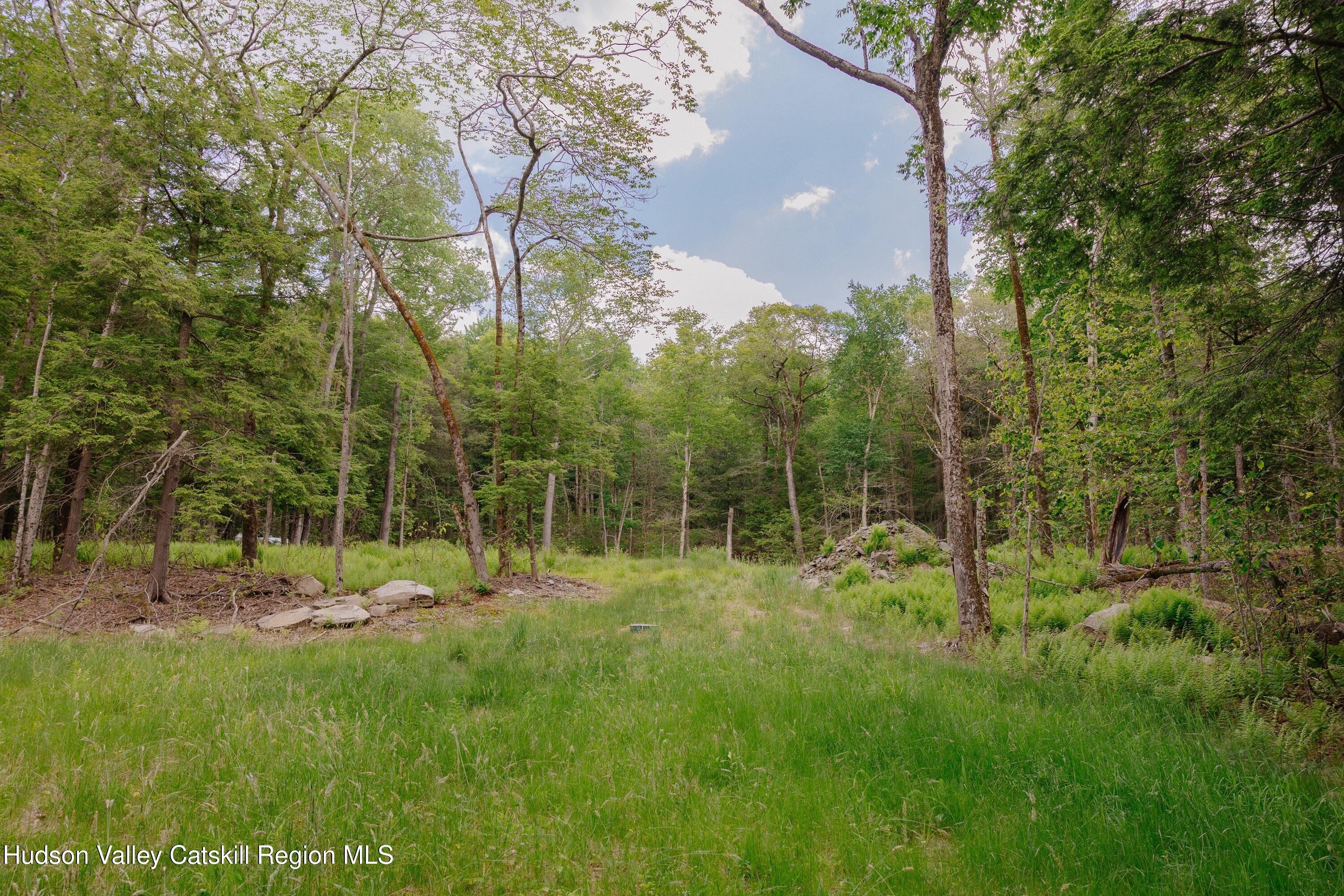 Tbd Church Lake Road Livingston Manor, NY 12758 - Photo 12 of 33 shandelee-woods-thatupstateagent-1-12