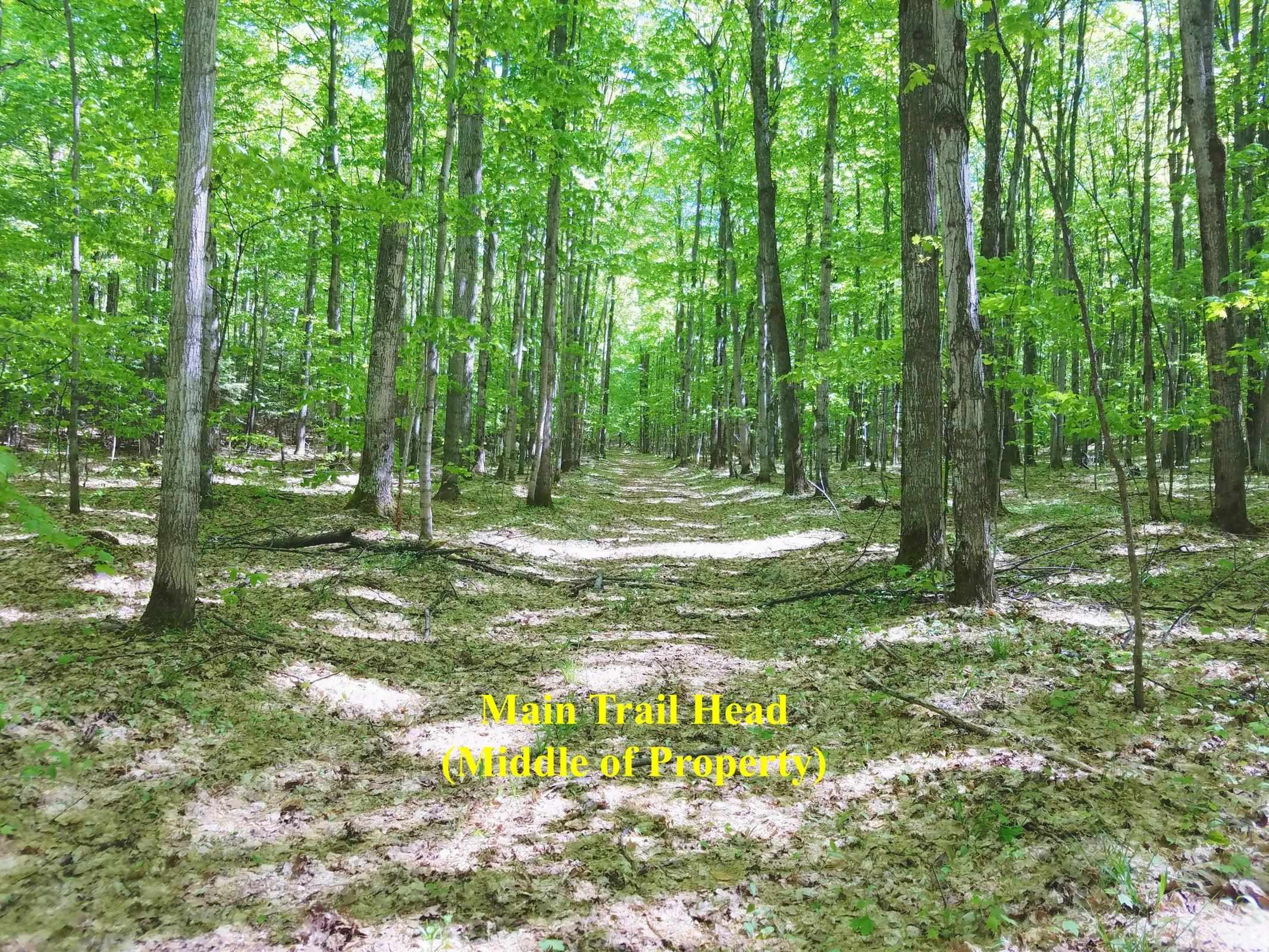 V/l Mancelona Road Gaylord, MI 49735 - Photo 4 of 9