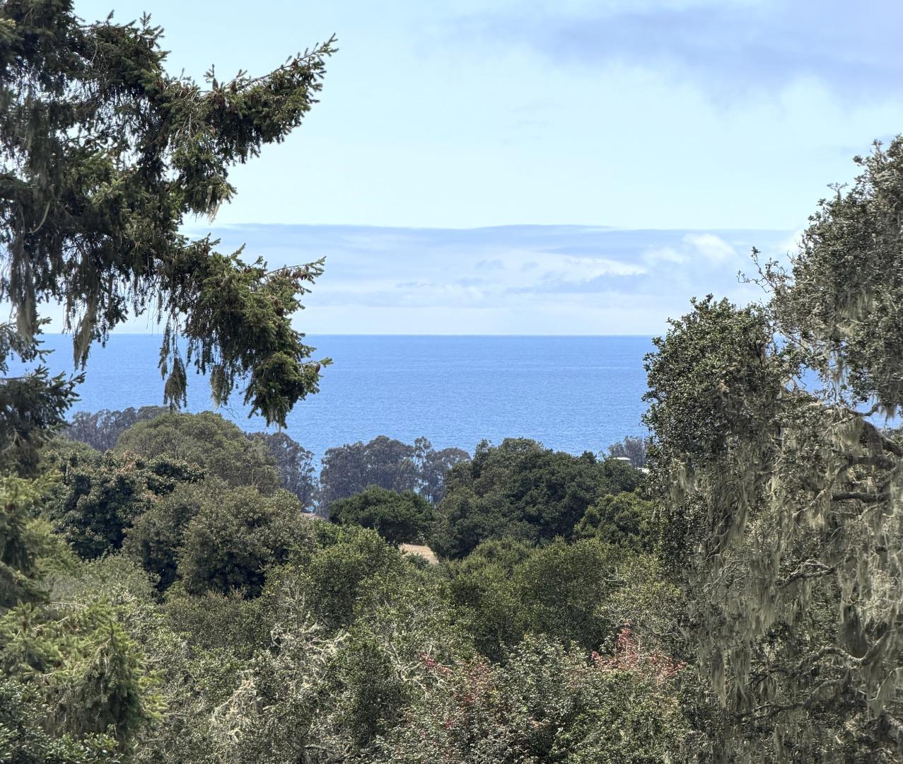 360 Babe Thompson Road Watsonville, CA 95076 - Photo 4 of 73