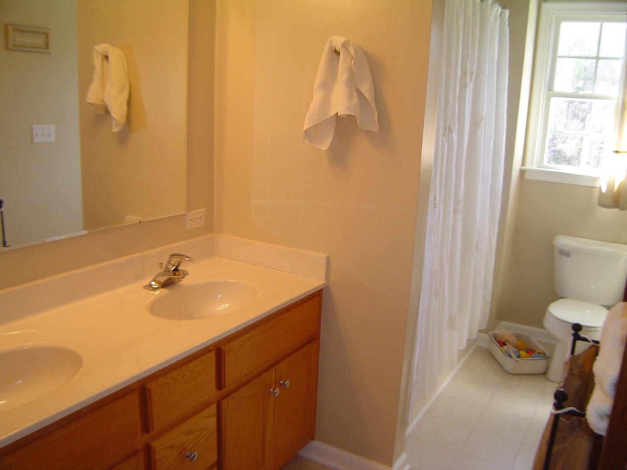 1063 Madcap Road Rocky Mount, VA 24151 - Photo 13 of 39 a bathroom with a sink and a toilet