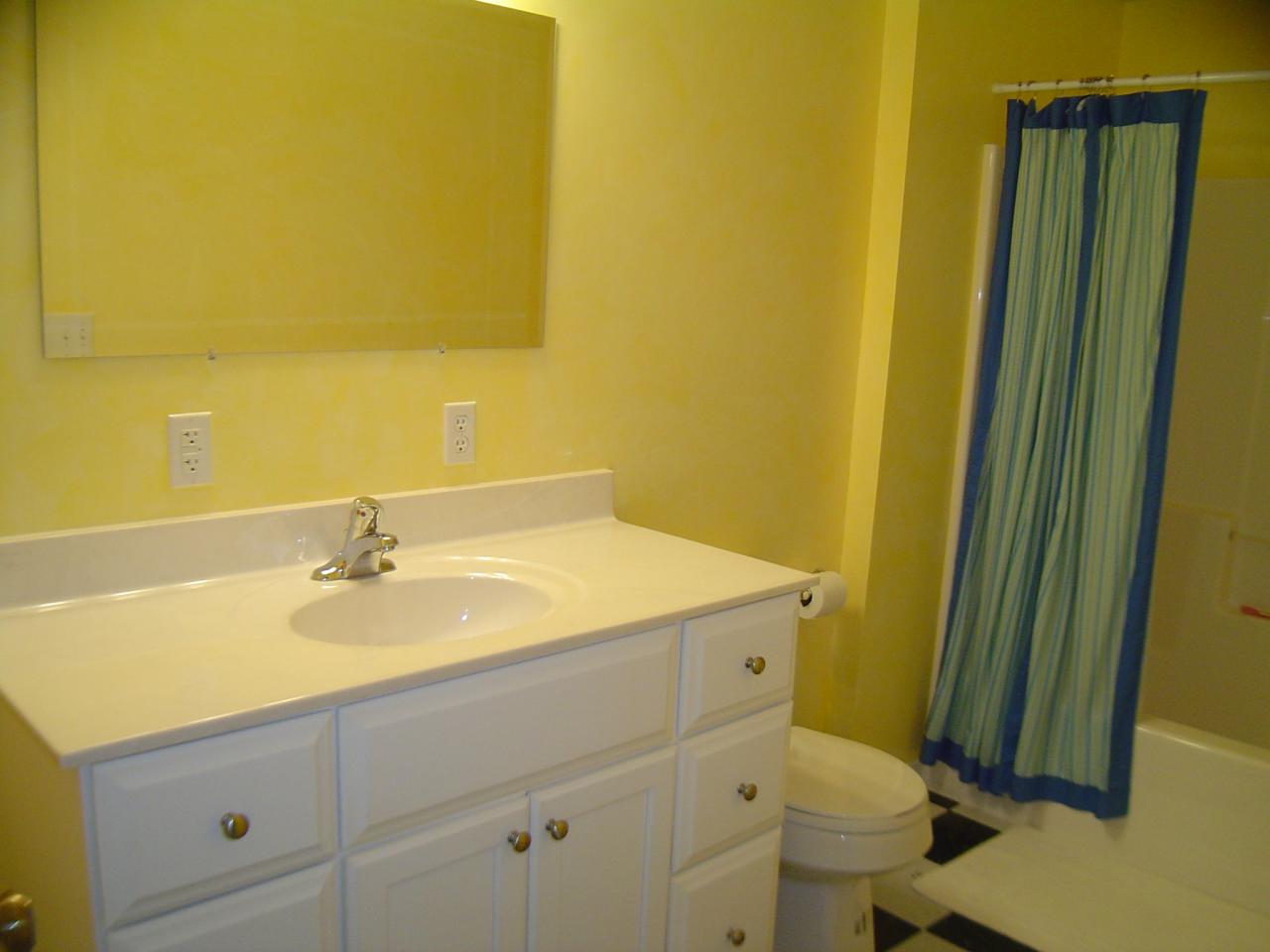1063 Madcap Road Rocky Mount, VA 24151 - Photo 24 of 39 a bathroom with a sink and a mirror