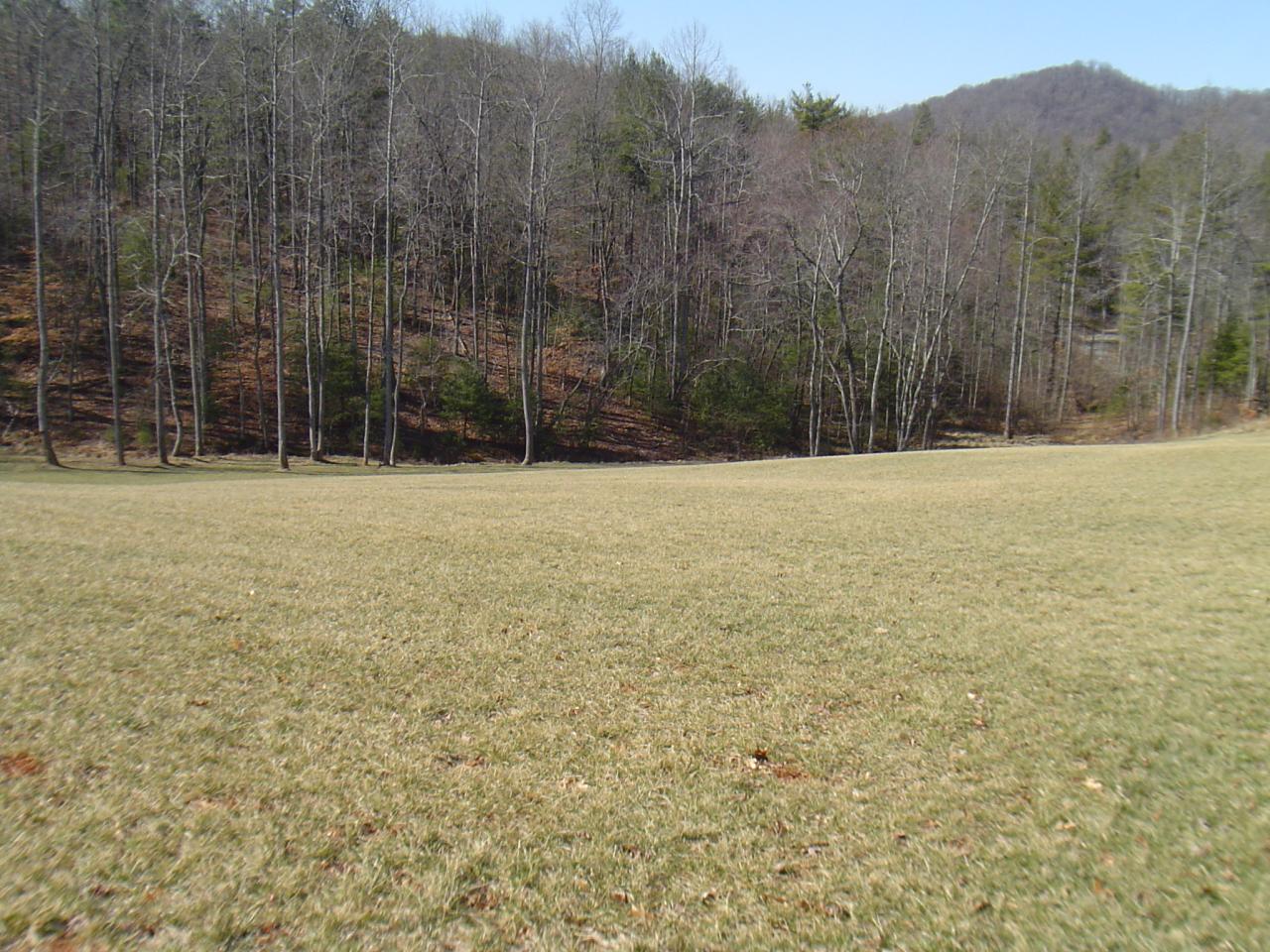 1063 Madcap Road Rocky Mount, VA 24151 - Photo 33 of 39 a view of an outdoor space and a yard
