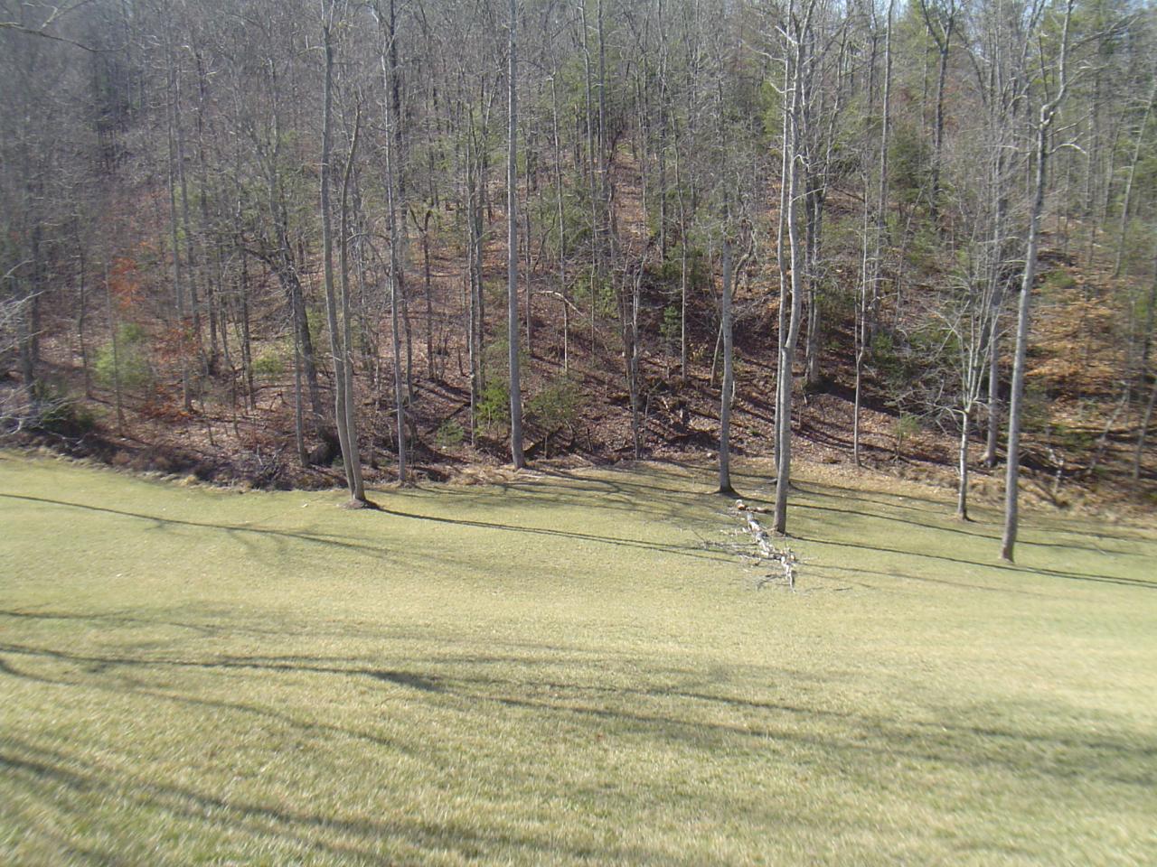 1063 Madcap Road Rocky Mount, VA 24151 - Photo 34 of 39 a view of swimming pool