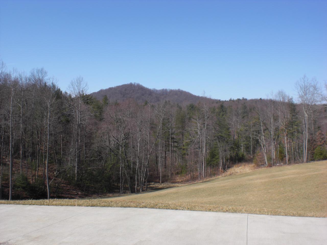 1063 Madcap Road Rocky Mount, VA 24151 - Photo 35 of 39 a view of a backyard