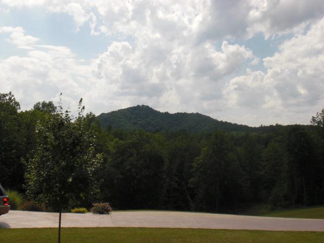 1063 Madcap Road Rocky Mount, VA 24151 - Photo 39 of 39 a view of a yard