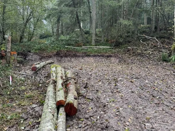 $29,995 | 10909 West Morris Boulevard, Steilacoom, WA 98388