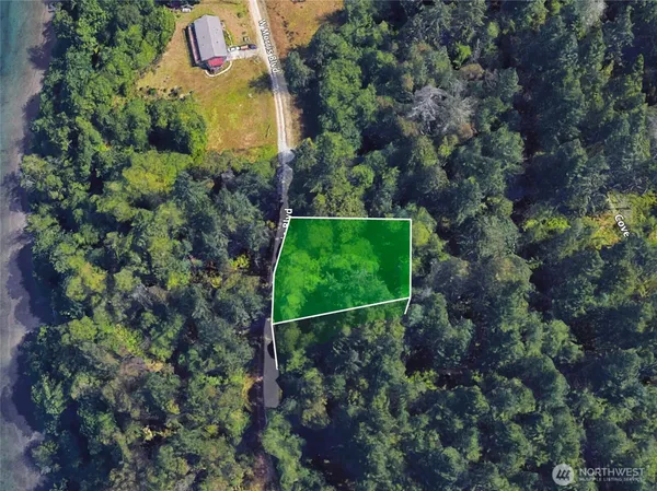 a close up of a plant in a bathroom