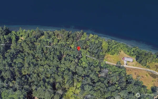 a view of a city with lush green forest