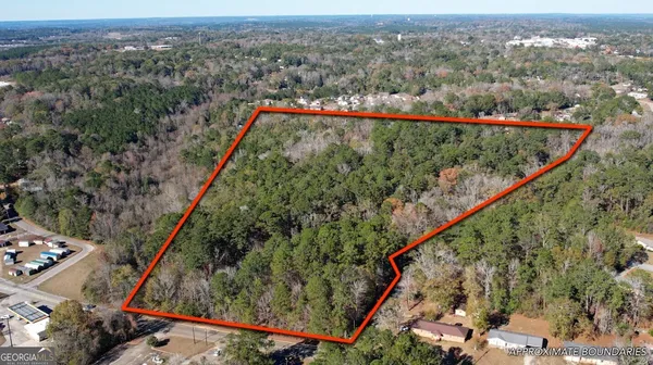 an aerial view of a forest