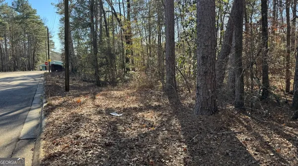 a view of a forest with trees