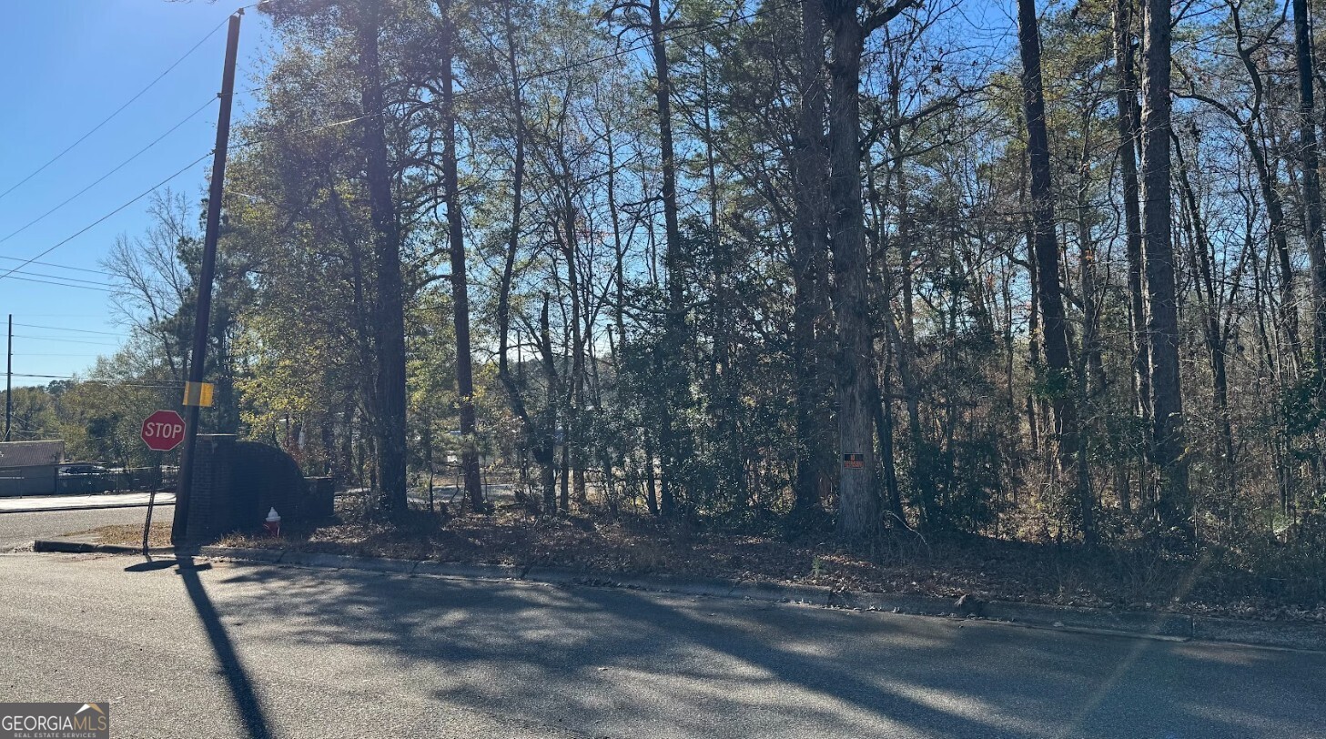 0 Deese Road, Unit TRACT A Ozark, AL 36360 - Photo 12 of 19