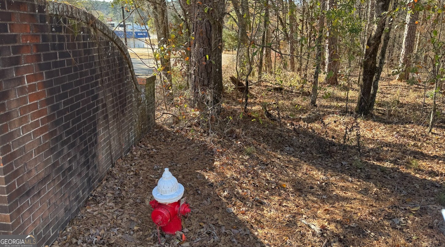 0 Deese Road, Unit TRACT A Ozark, AL 36360 - Photo 13 of 19