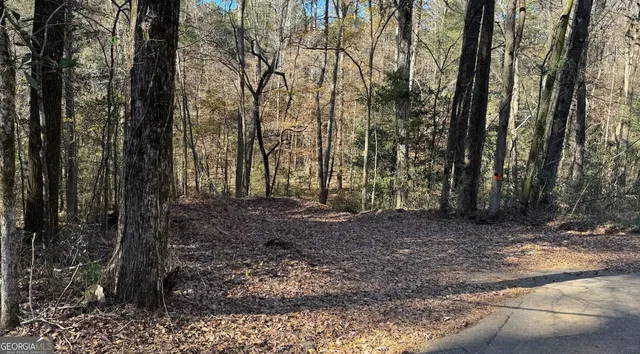 $99,000 | 0 Deese Road, Unit TRACT A, Ozark, AL 36360