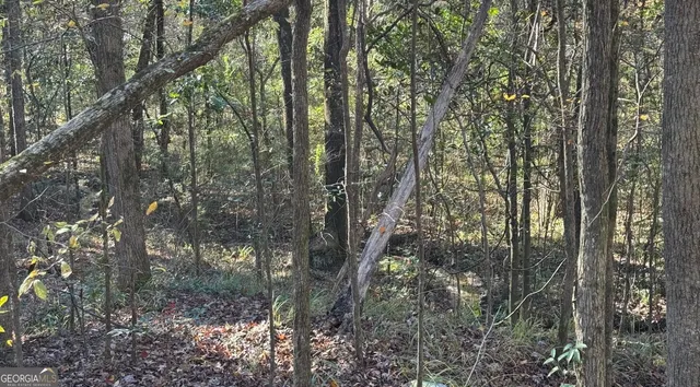 $99,000 | 0 Deese Road, Unit TRACT A, Ozark, AL 36360