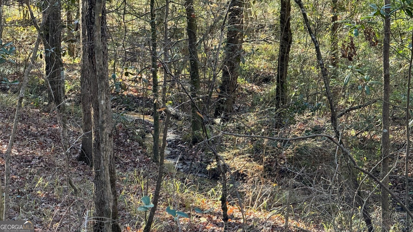 0 Deese Road, Unit TRACT A Ozark, AL 36360 - Photo 18 of 19