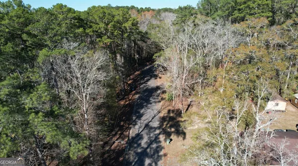 a view of a forest with lots of trees