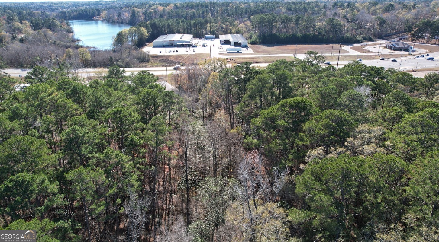 0 Deese Road, Unit TRACT A Ozark, AL 36360 - Photo 8 of 19