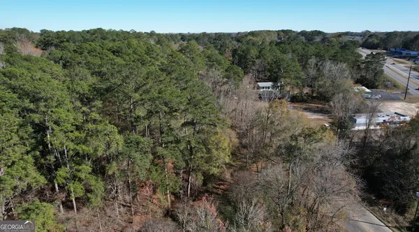 a view of a forest with a forest