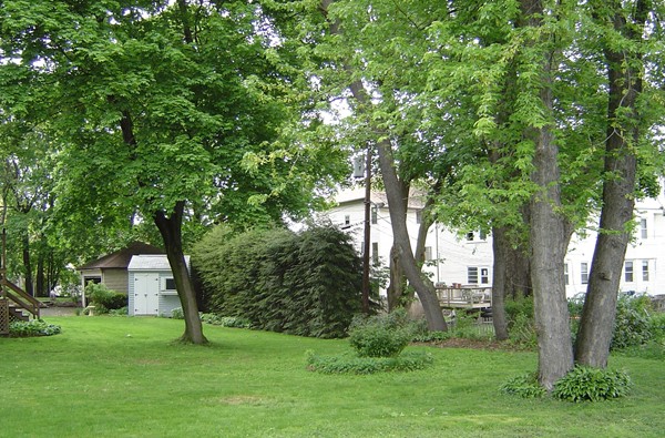 8 Rosemont Road Worcester, MA 01605 - Photo 3 of 30 a view of a trees in a yard with large trees