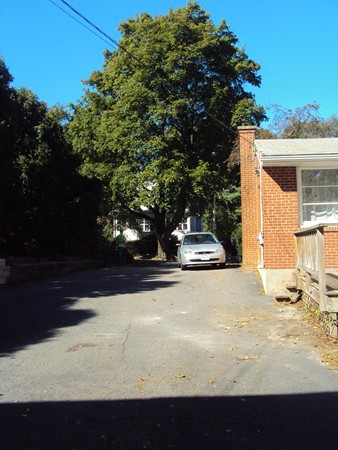 8 Rosemont Road Worcester, MA 01605 - Photo 4 of 30 a view of back yard of the house