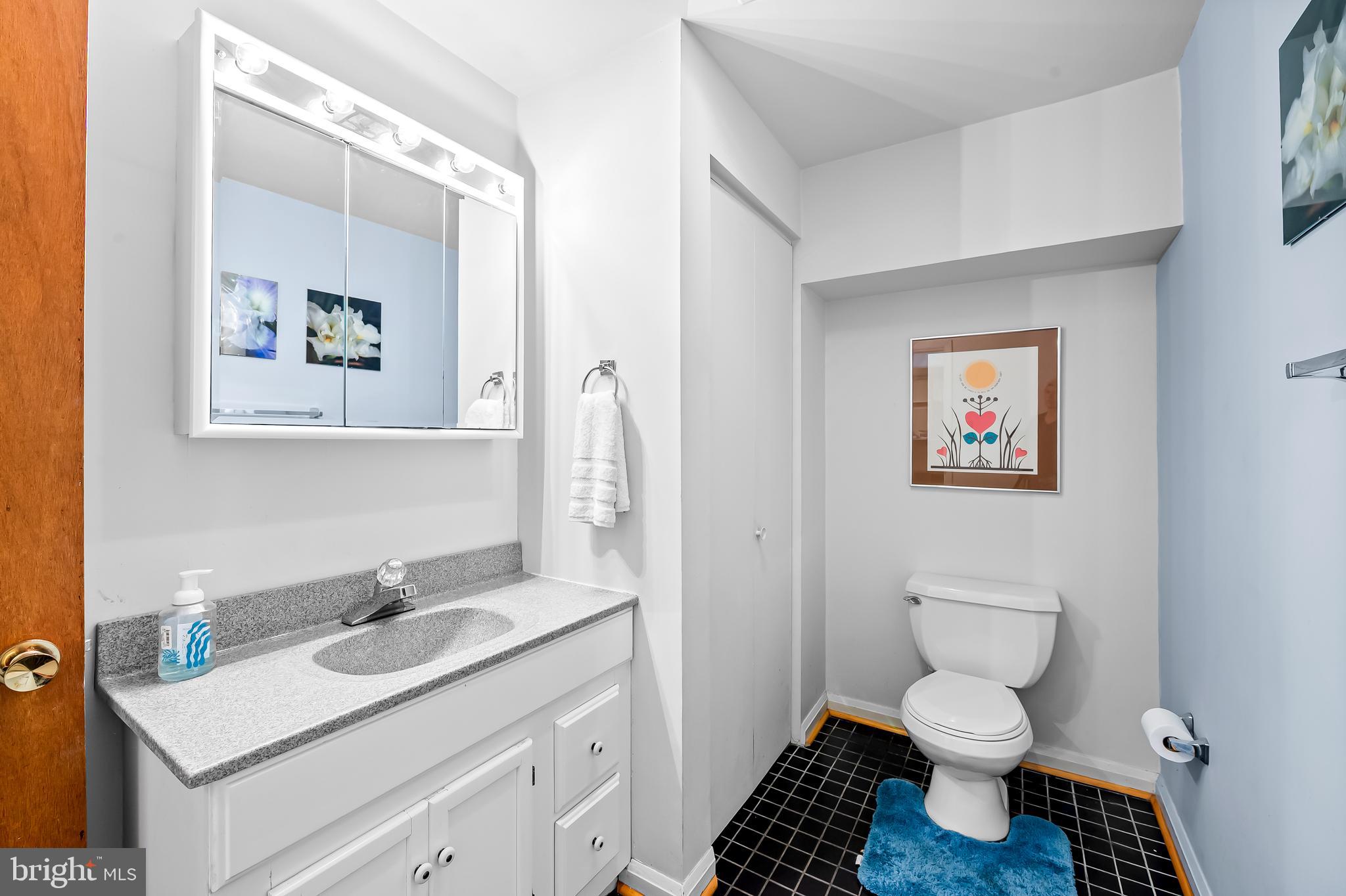 6103 Ivydene Terrace Baltimore, MD 21209 - Photo 38 of 51 a bathroom with a toilet a sink and mirror