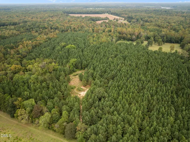 a view of a green field