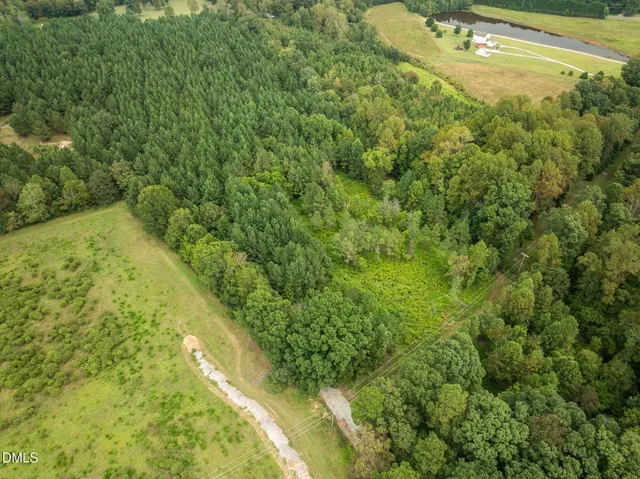 a view of a yard with plants
