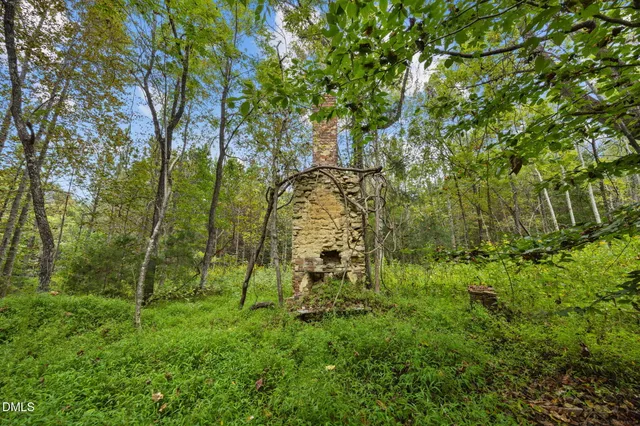 a view of yard with green space