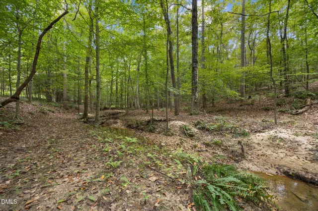 a view of outdoor space and green space