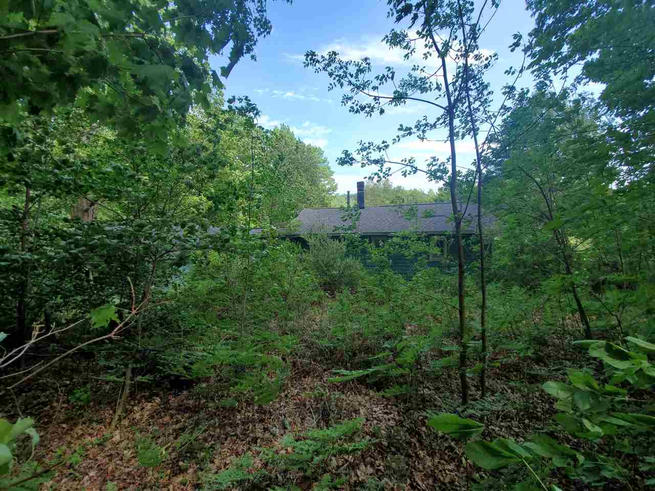 1046 Adams Road Frankfort, MI 49635 - Photo 33 of 53 1887930-32.JPG