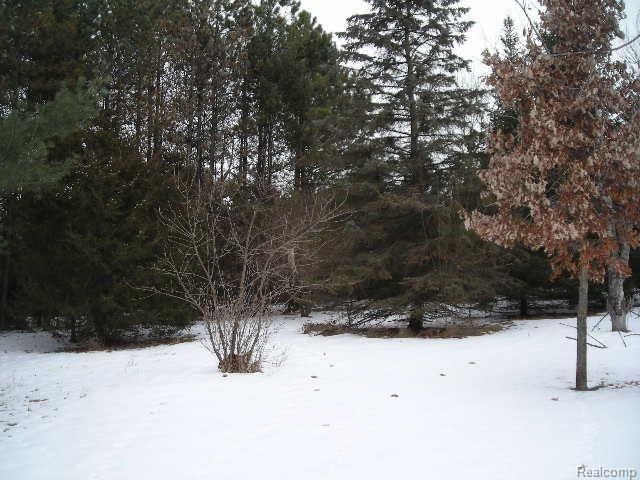 7452 Ore Lake Road Brighton, MI 48116 - Photo 19 of 21 DSCN8672.jpg