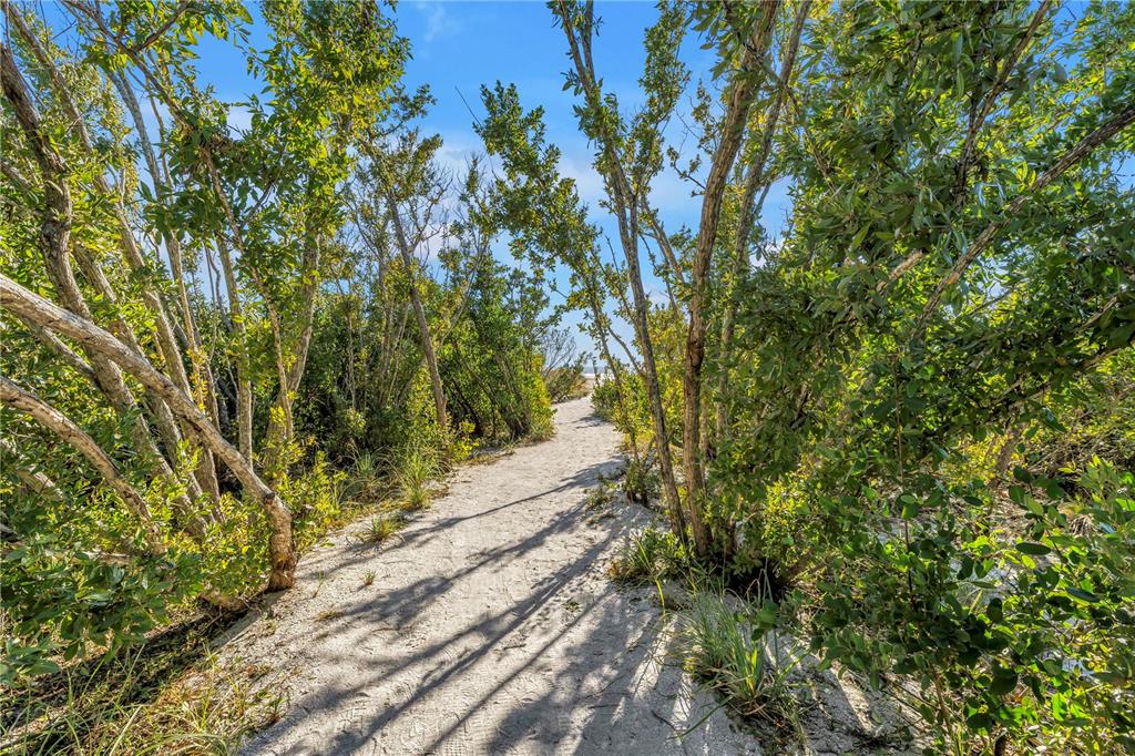 450 Beach Road, Unit 4 Sarasota, FL 34242 - Photo 48 of 64 a view of a yard with plants and large trees
