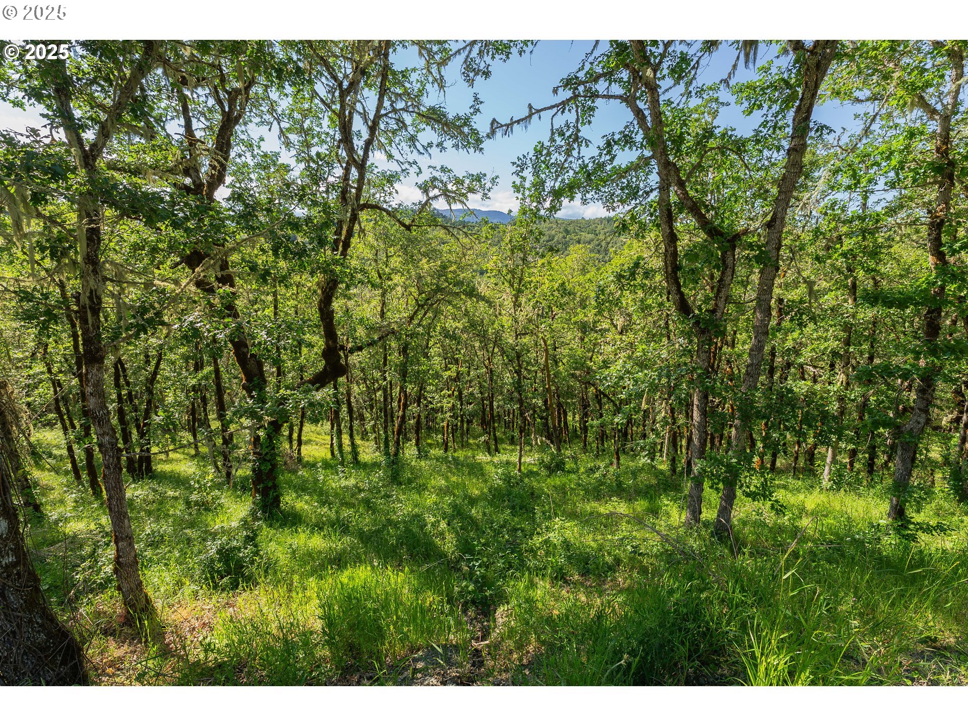 460 Huckleberry Mountain Lane Riddle, OR 97469 - Photo 25 of 34