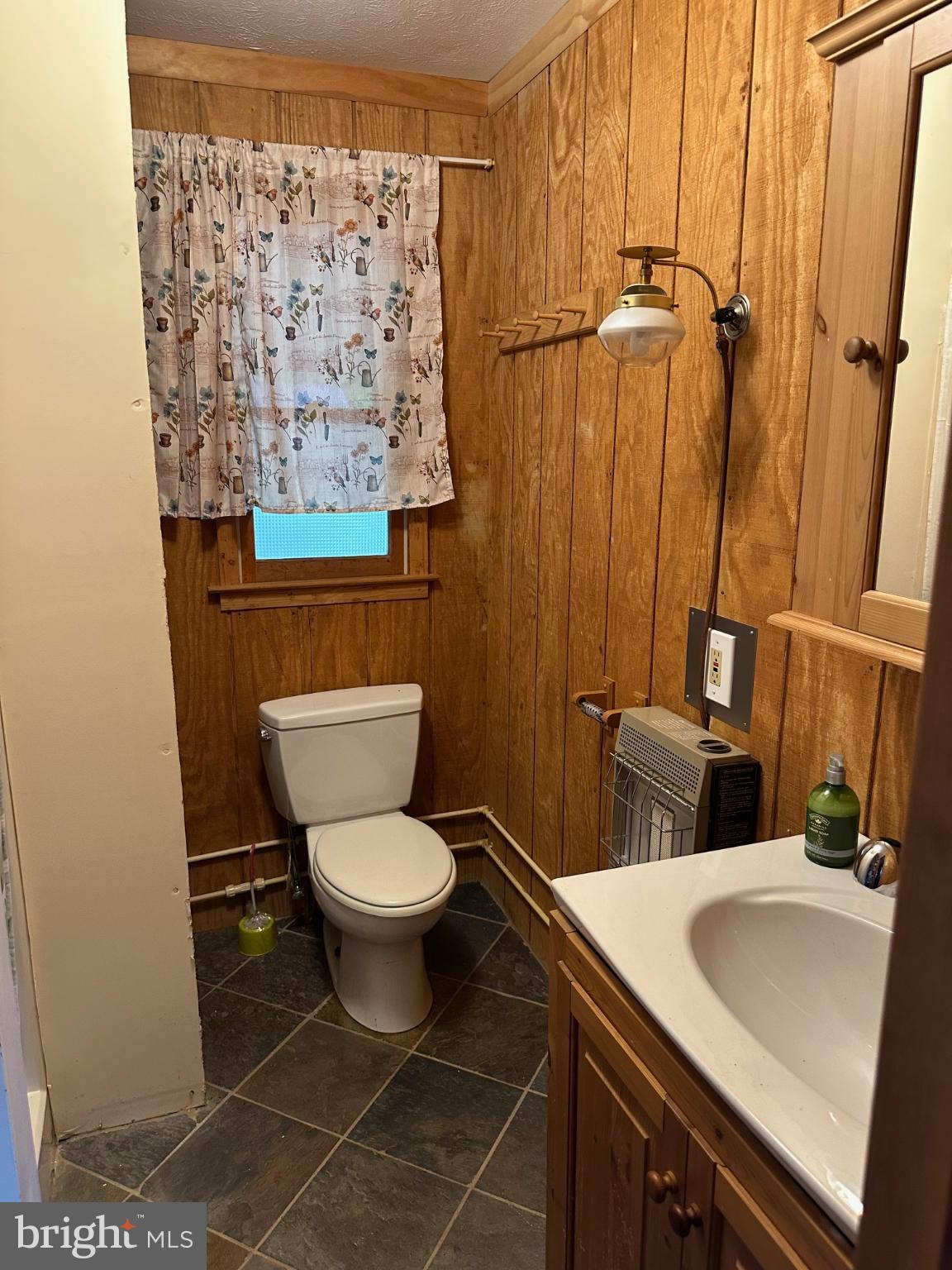 46 Pond Road Franklin, WV 26807 - Photo 16 of 28 a bathroom with a sink and a toilet