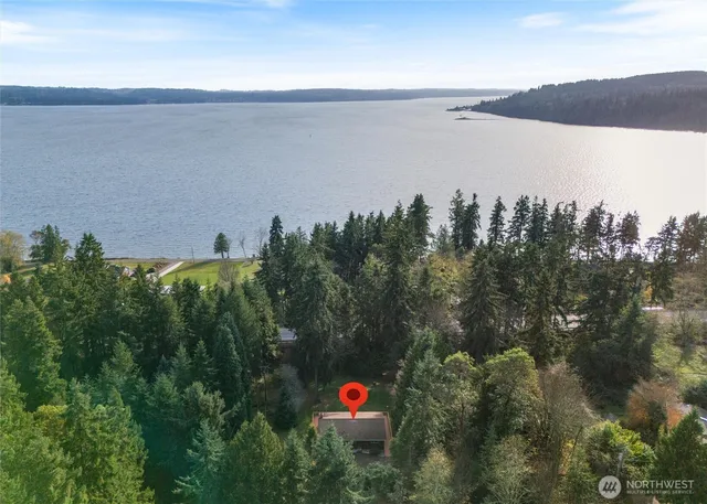 a close up of a lush green forest
