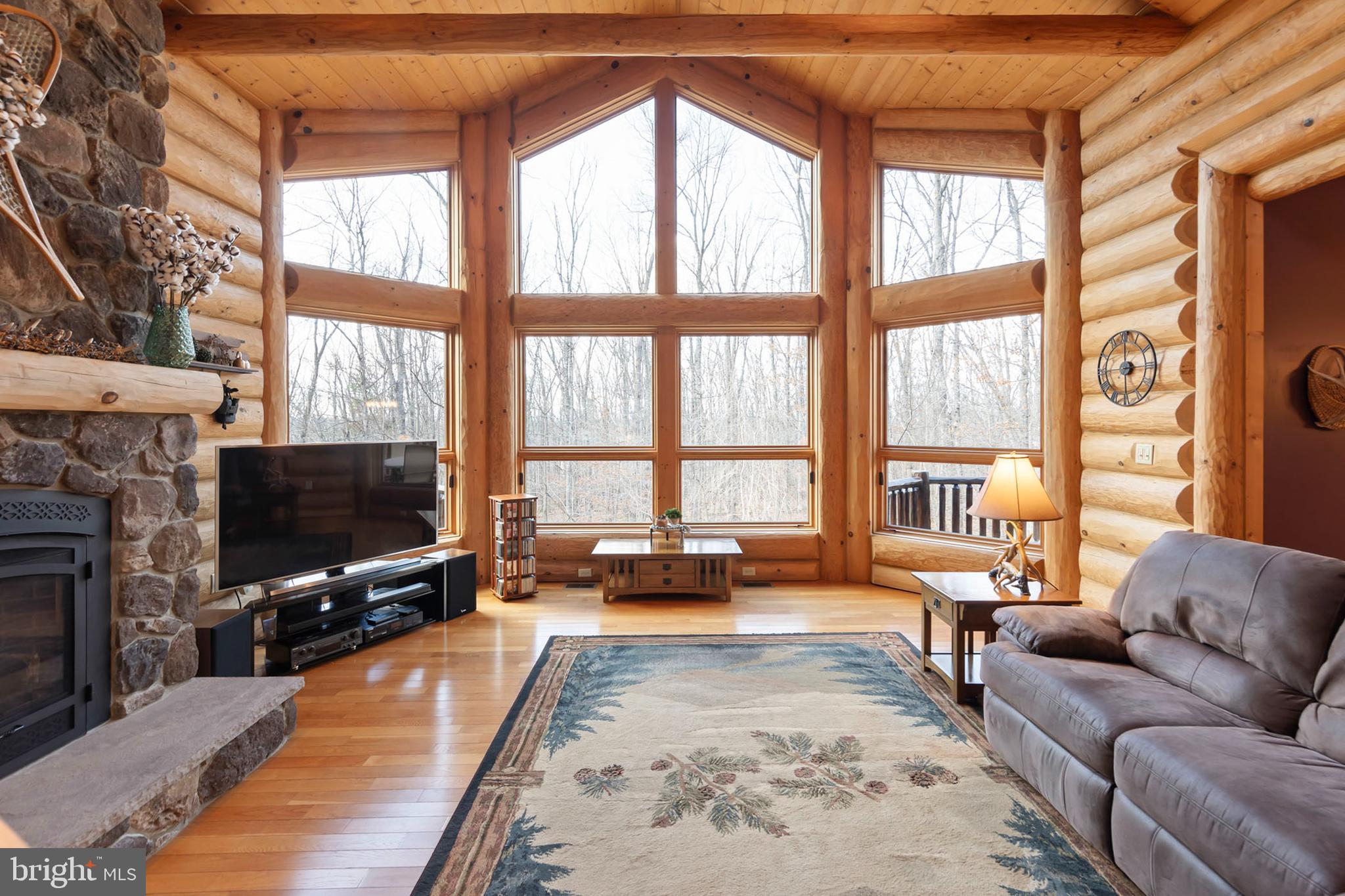 181 Signal Ridge Lane Winchester, VA 22603 - Photo 19 of 70 a living room with fireplace furniture and a flat screen tv