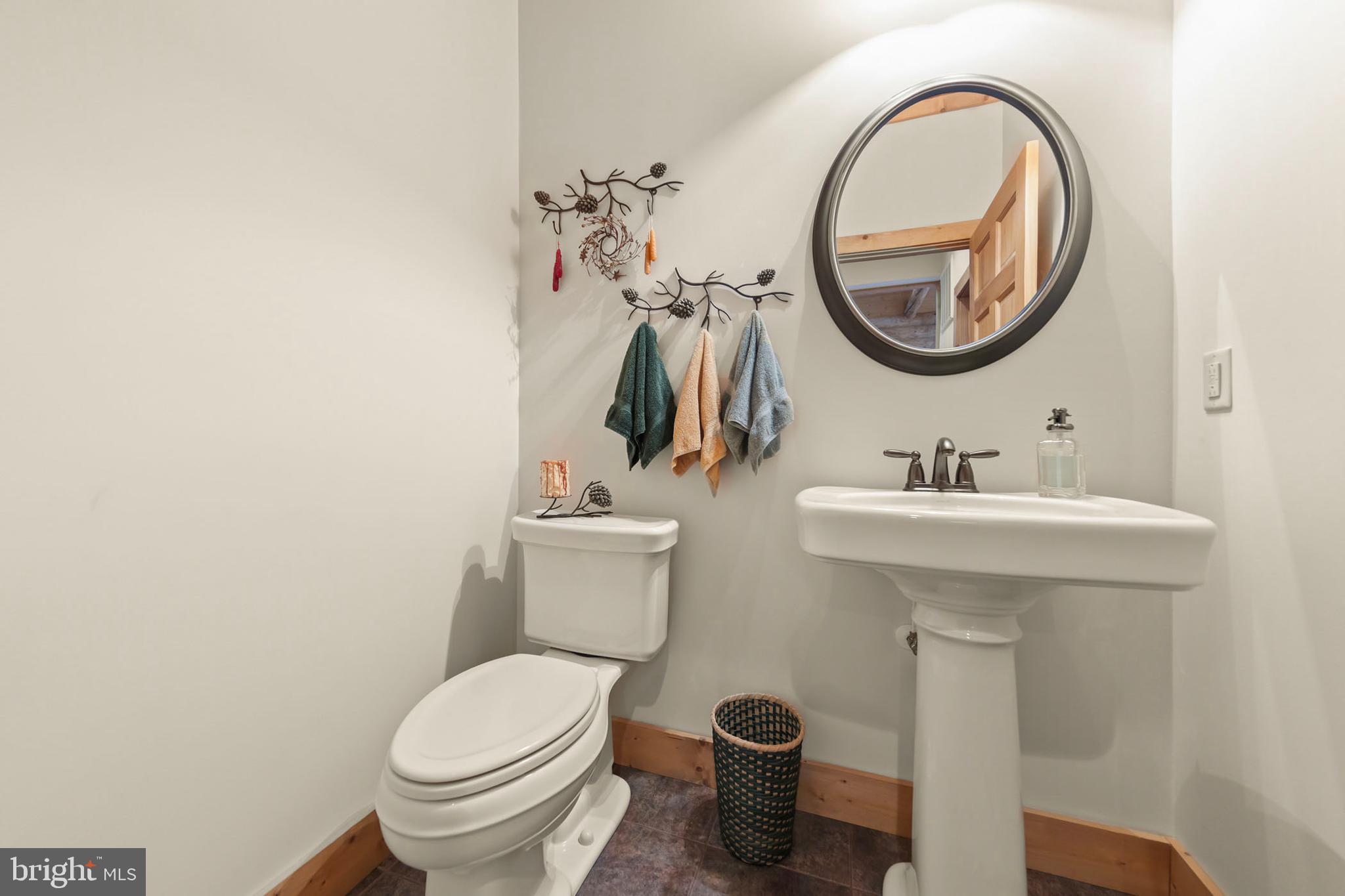 181 Signal Ridge Lane Winchester, VA 22603 - Photo 34 of 70 a bathroom with a toilet a sink and a mirror