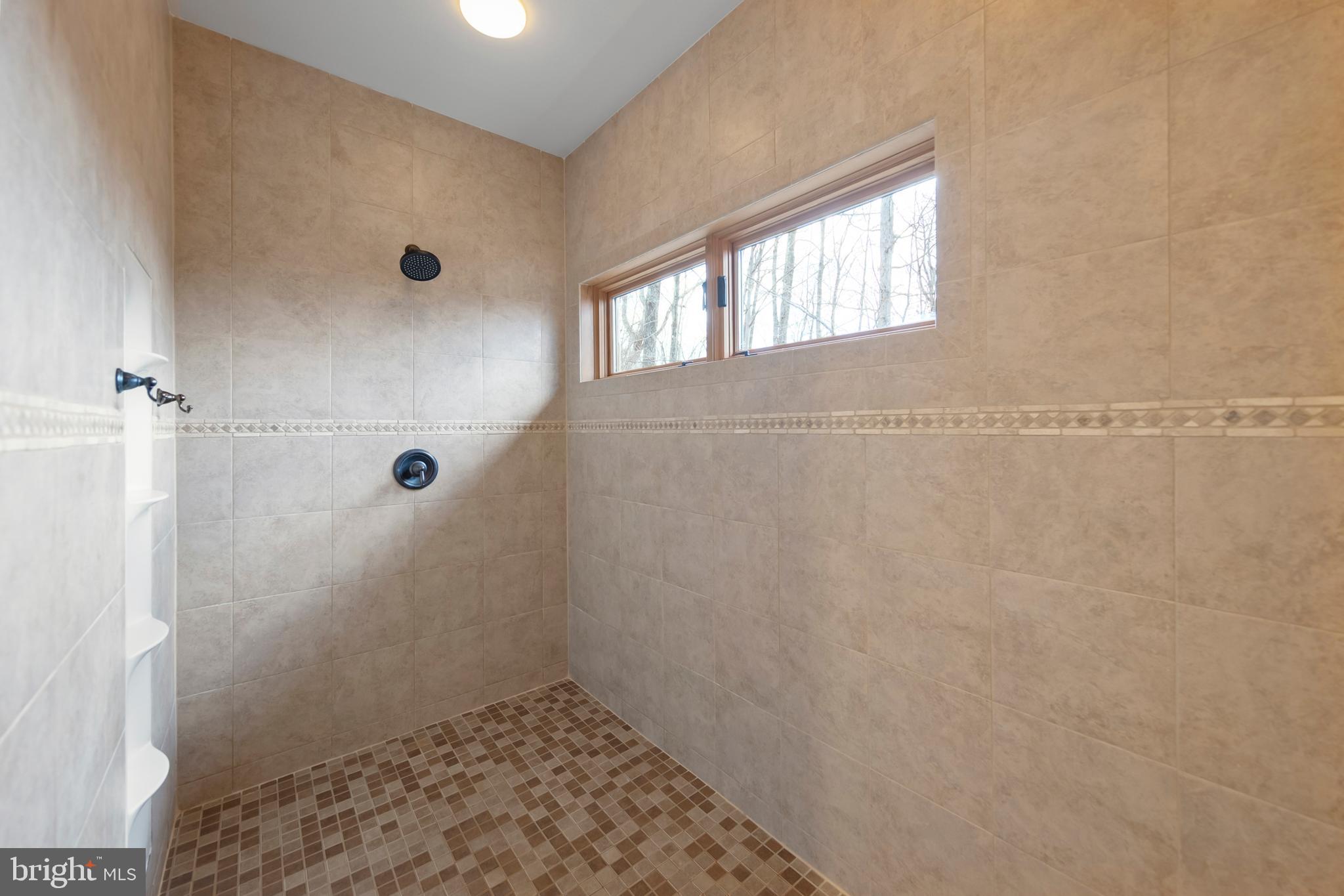 181 Signal Ridge Lane Winchester, VA 22603 - Photo 37 of 70 Primary walk-in shower