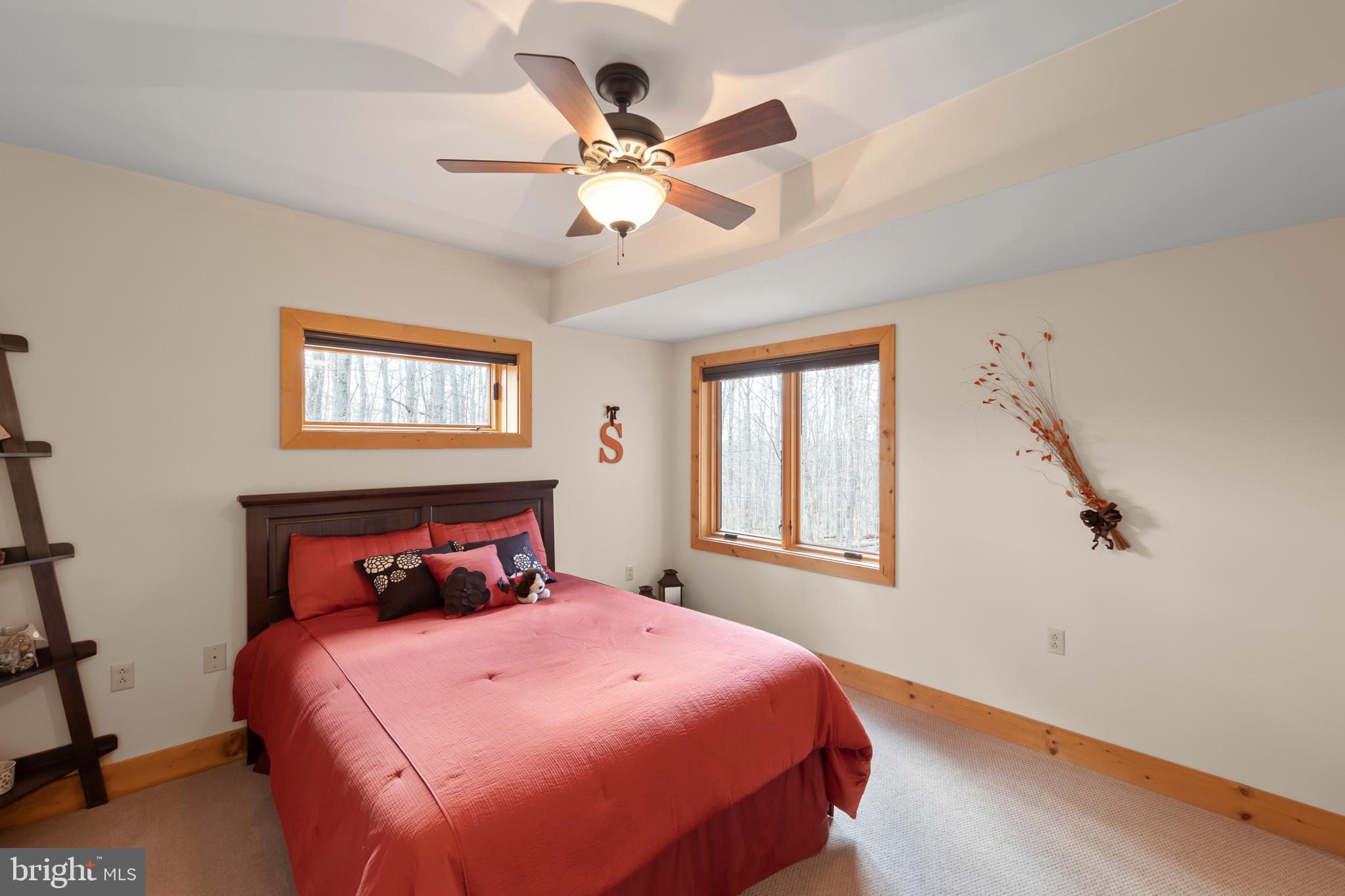 181 Signal Ridge Lane Winchester, VA 22603 - Photo 39 of 70 Lower level bedroom 2