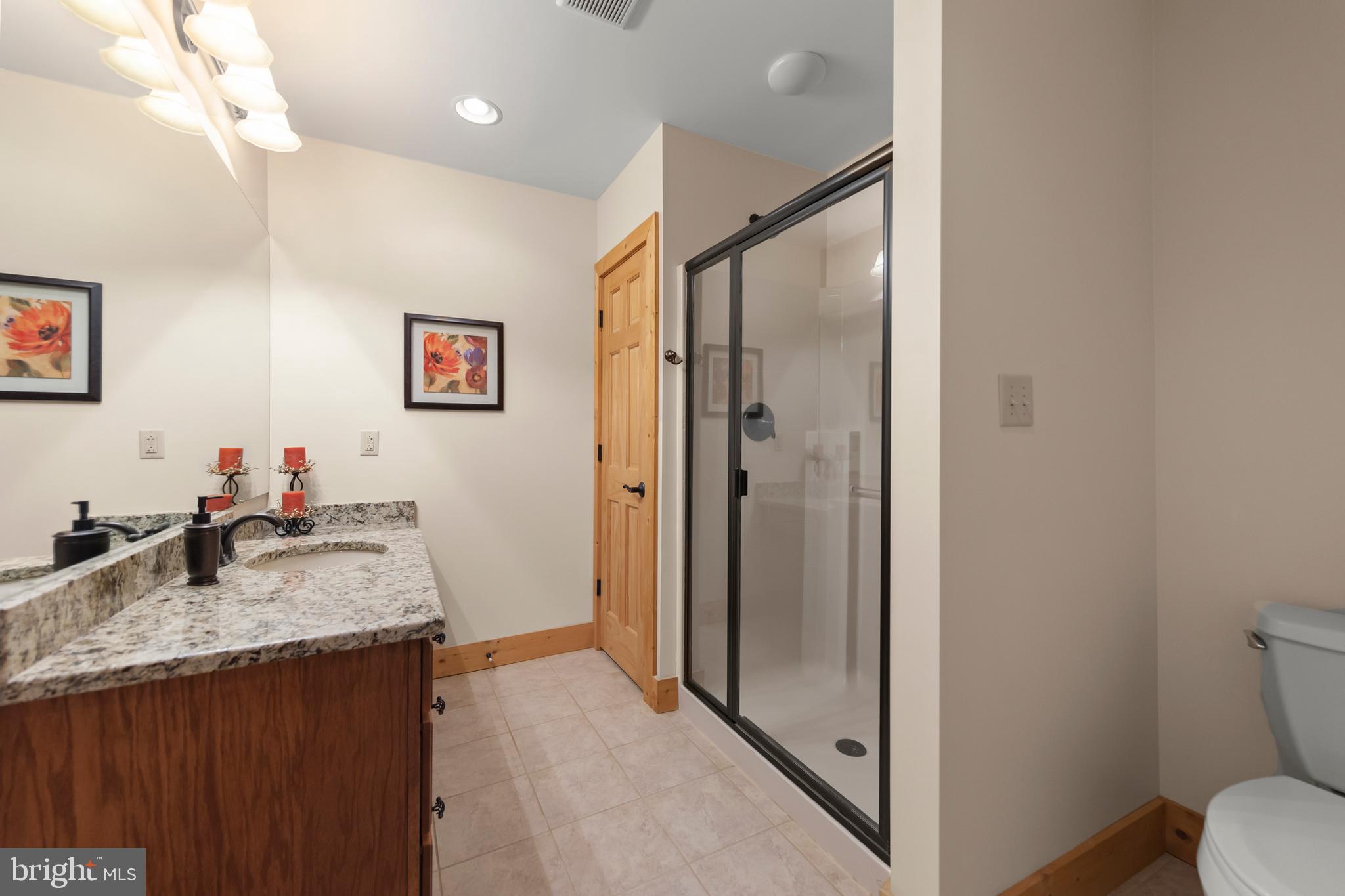 181 Signal Ridge Lane Winchester, VA 22603 - Photo 42 of 70 a bathroom with a granite countertop sink a mirror and a toilet